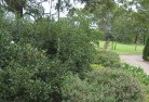 East Melbourneresidential-landscaping-35.jpg; ?>